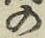 字の
