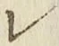 字レ
