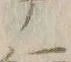 글자 テ