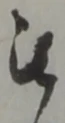 位置 確認된 被