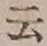 Chữ 云