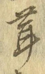 茸 위치 확인됨