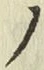 字ノ