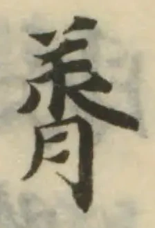 Đã định vị 脀