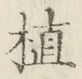 글자 植