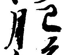 已定位肥