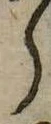 𛃰 위치 확인됨