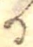 位置 確認된 𛃻
