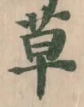 草 위치 확인됨