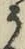 文字 う