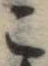 미지정 위치 확인됨