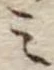 미지정 위치 확인됨
