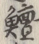 鱣 위치 확인됨