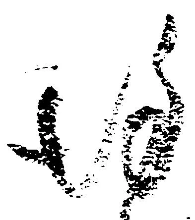Đã định vị 謹