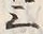 글자 三