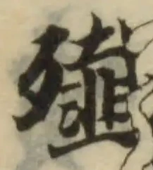 殲の位置