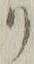 “リ”字