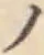 字ノ