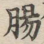 文字腸