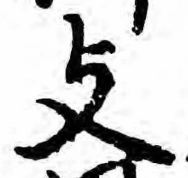 支の位置