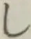 글자 し