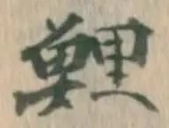 字鯉