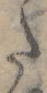 Đã định vị 𛁠