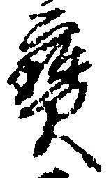 已定位宝