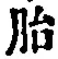 文字胎