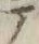 「テ」字