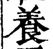 Chữ 養