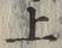字上