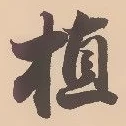 글자 植