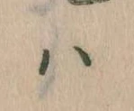 𛂞 위치 확인됨