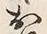 Character お