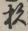 已定位杉