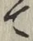 文字 て
