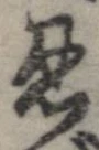 忍の位置