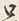 文字只