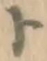 字ト
