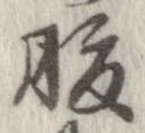 腹 위치 확인됨