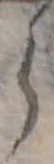 𛃰 위치 확인됨
