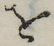 𛄜の位置