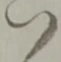 い 위치 확인됨