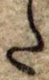 𛁠 위치 확인됨