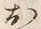글자 お