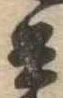 兵 위치 확인됨