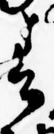 春 위치 확인됨