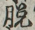 脱 위치 확인됨
