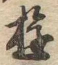 Đã định vị 遊